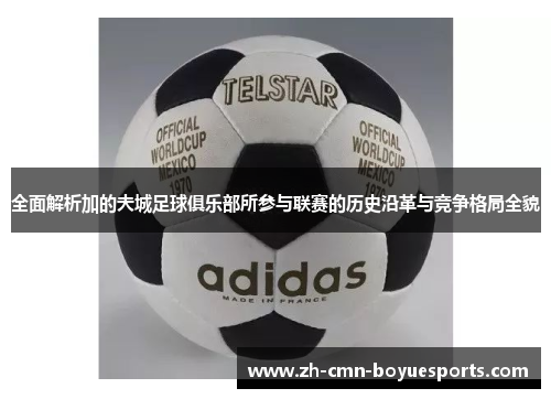 全面解析加的夫城足球俱乐部所参与联赛的历史沿革与竞争格局全貌 全面解析加的夫城足球俱乐部所参与联赛的历史沿革与竞争格局全貌