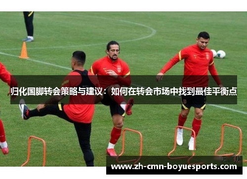 归化国脚转会策略与建议：如何在转会市场中找到最佳平衡点