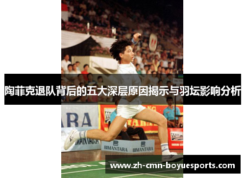 陶菲克退队背后的五大深层原因揭示与羽坛影响分析 陶菲克退队背后的五大深层原因揭示与羽坛影响分析